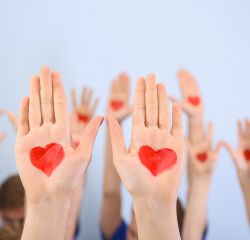 menu header side banner - DivineCareIndia.org