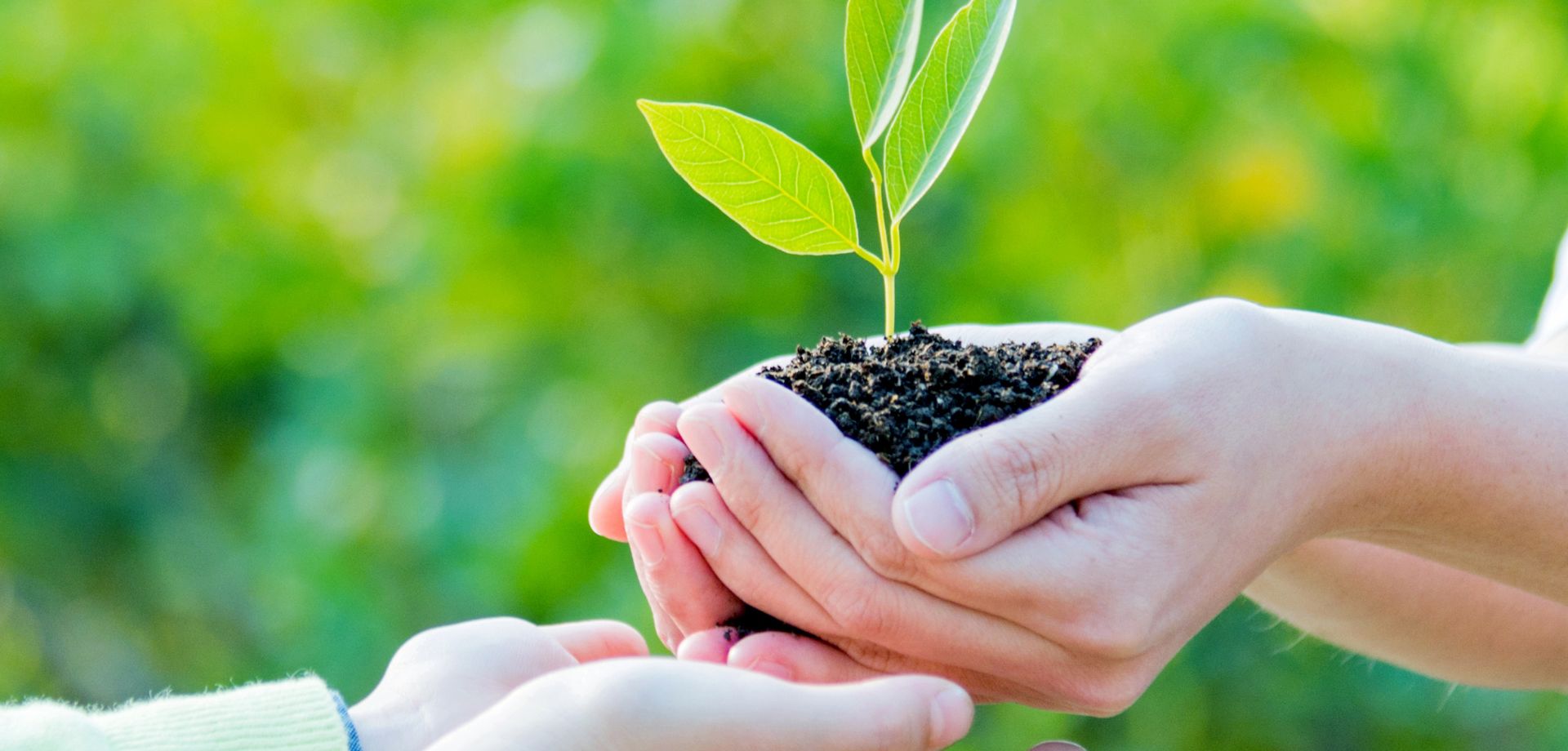 Nurturing Dreams, Empowering Lives